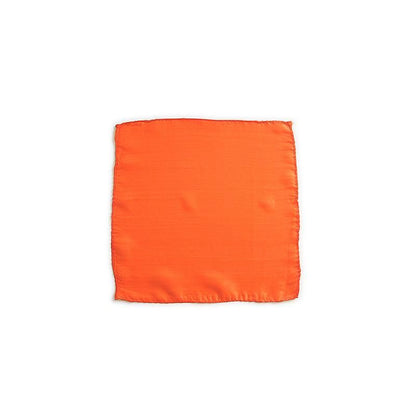 Pañuelo de seda 20 cm (9 pulgadas)
