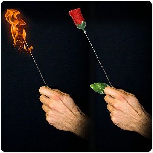 Antorcha a Rosa